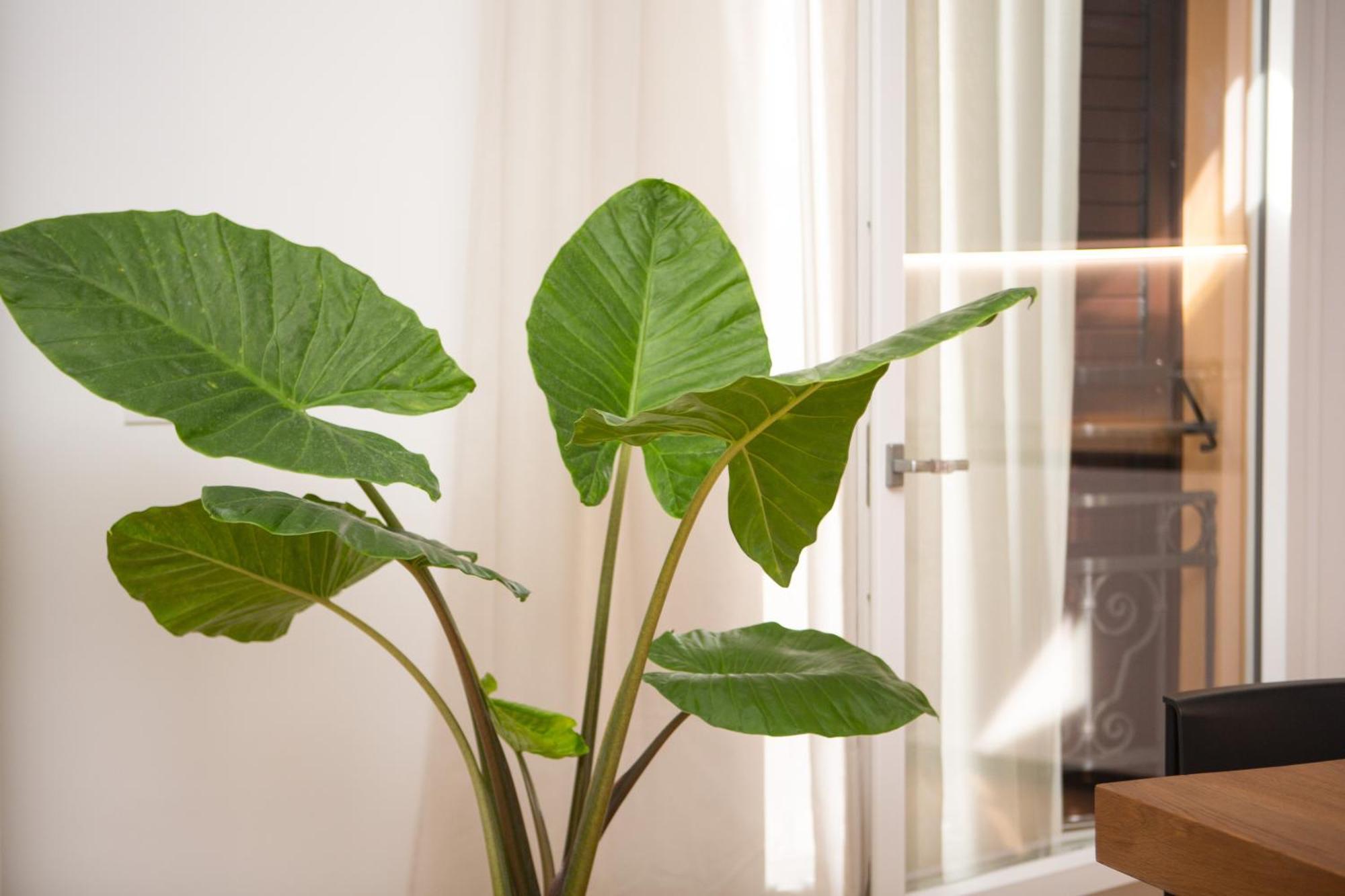 Enjoy - Luxury Experience In The Heart Of Apartamento *
